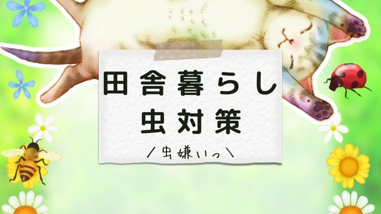 虫嫌いの虫対策22年版 田舎暮らしは虫地獄なのか 地方移住の実態 ちょ田舎暮らし